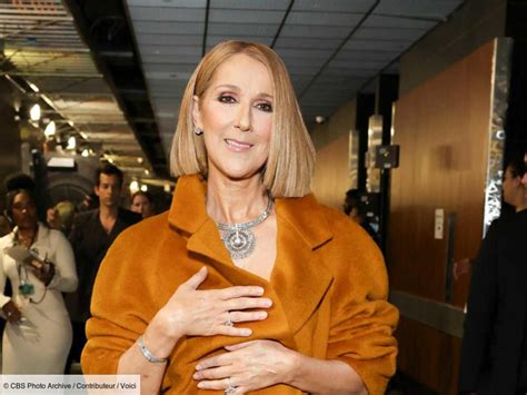 celine dion 2022 cheveux gris|Céline Dion : aux Grammy Awards, la chanteuse adopte la coupe .